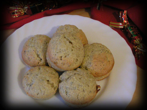 2007-02-24-muffin-the-vert1.jpg